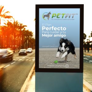 presentación del nuevo logo 2-11